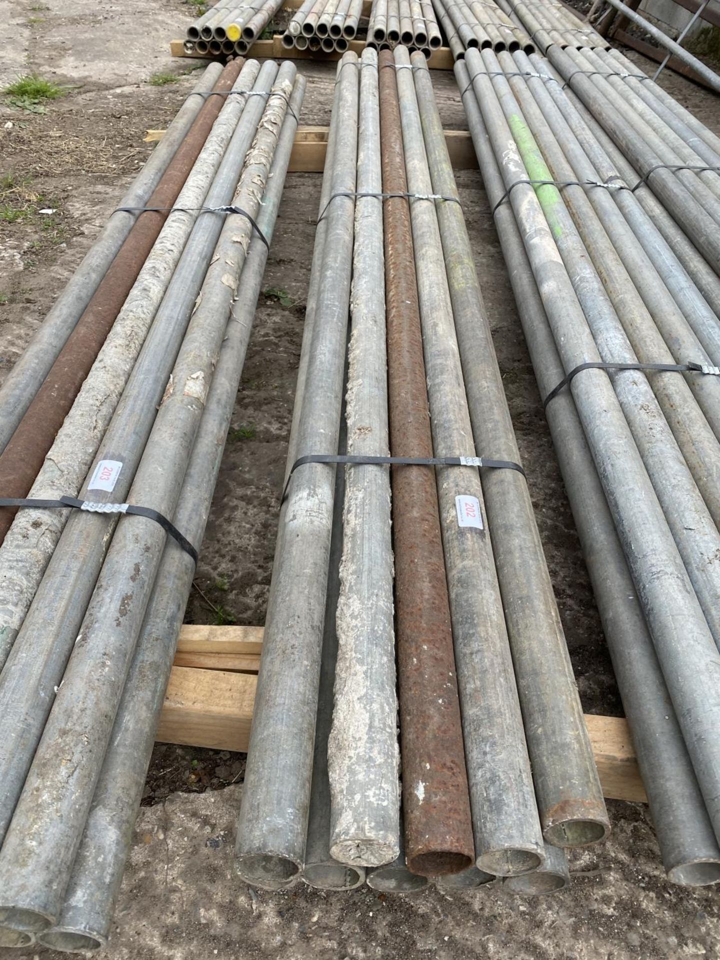 SCAFFOLD PIPES 8' LONG TO BE SOLD PER PIPE WITH THE OPTION ON THE NEXT 10 LOTS