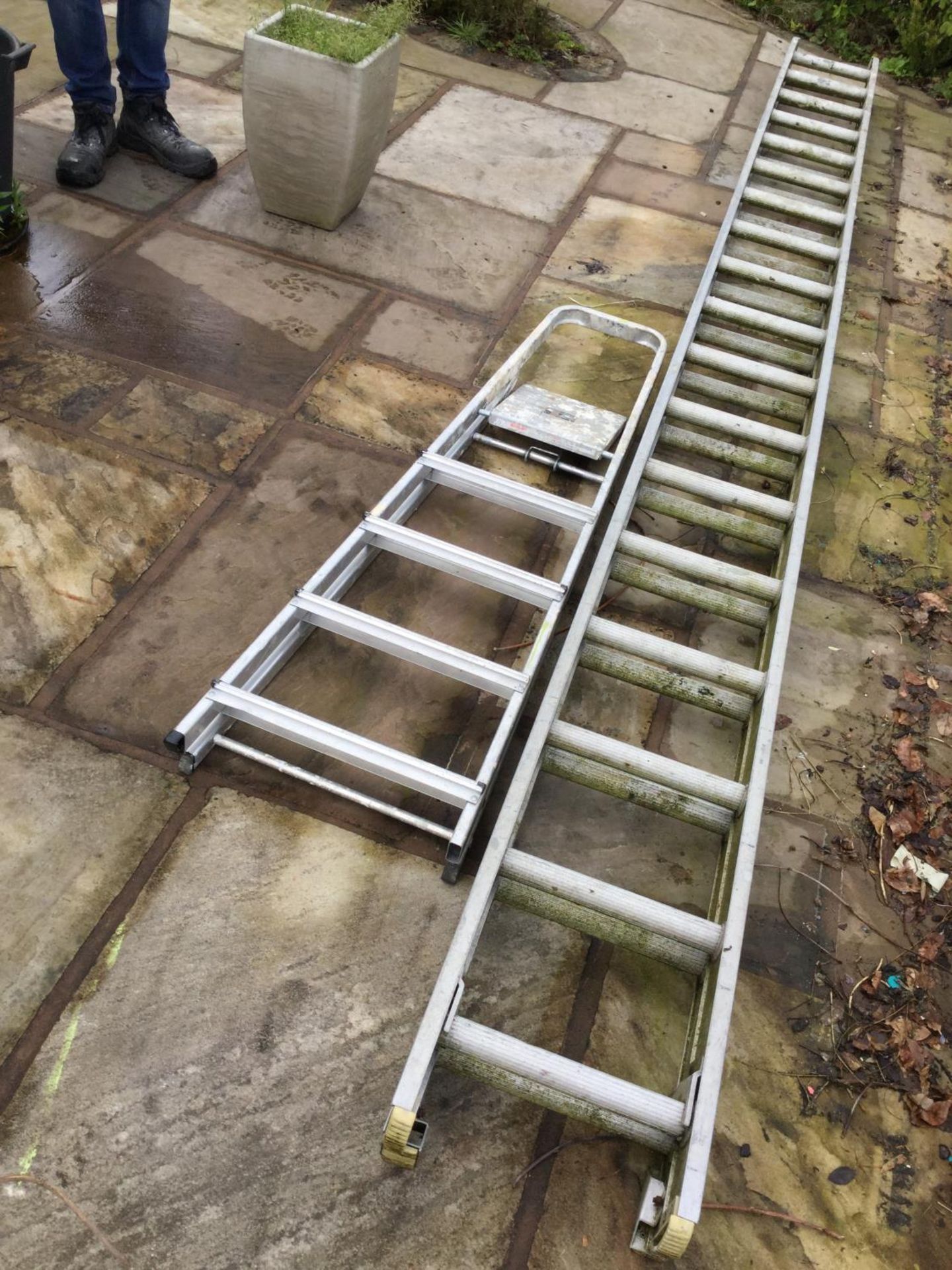 A 13FT DOUBLE EXTENSION LADDER AND A STEP LADDER NB:THESE ITEMS ARE TO BE COLLECTED FROM HEATHER - Image 2 of 2