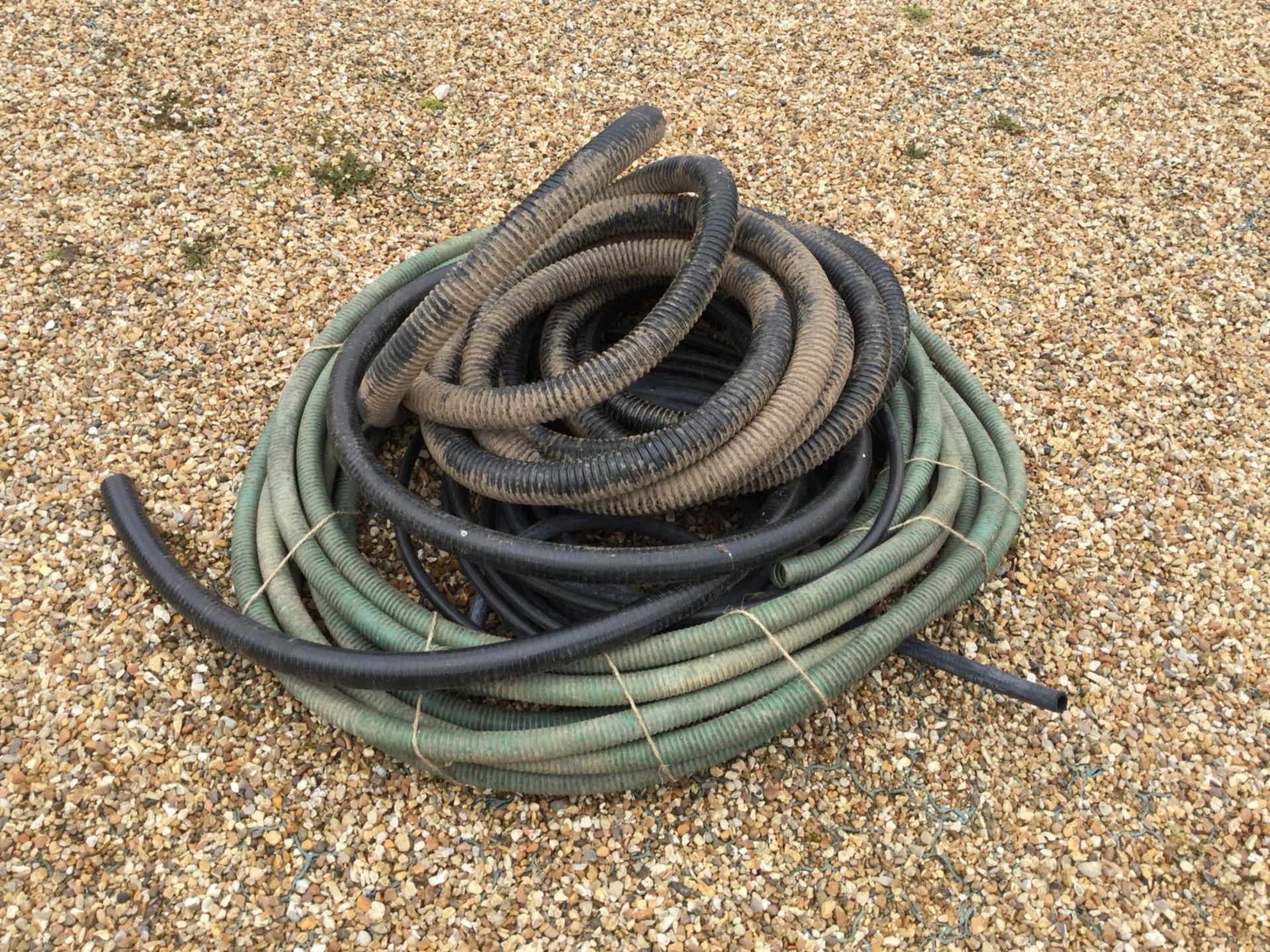 A COLLECTION OF VARIOUS HOSES NB:THESE ITEMS ARE TO BE COLLECTED FROM HEATHER BANK FARM,