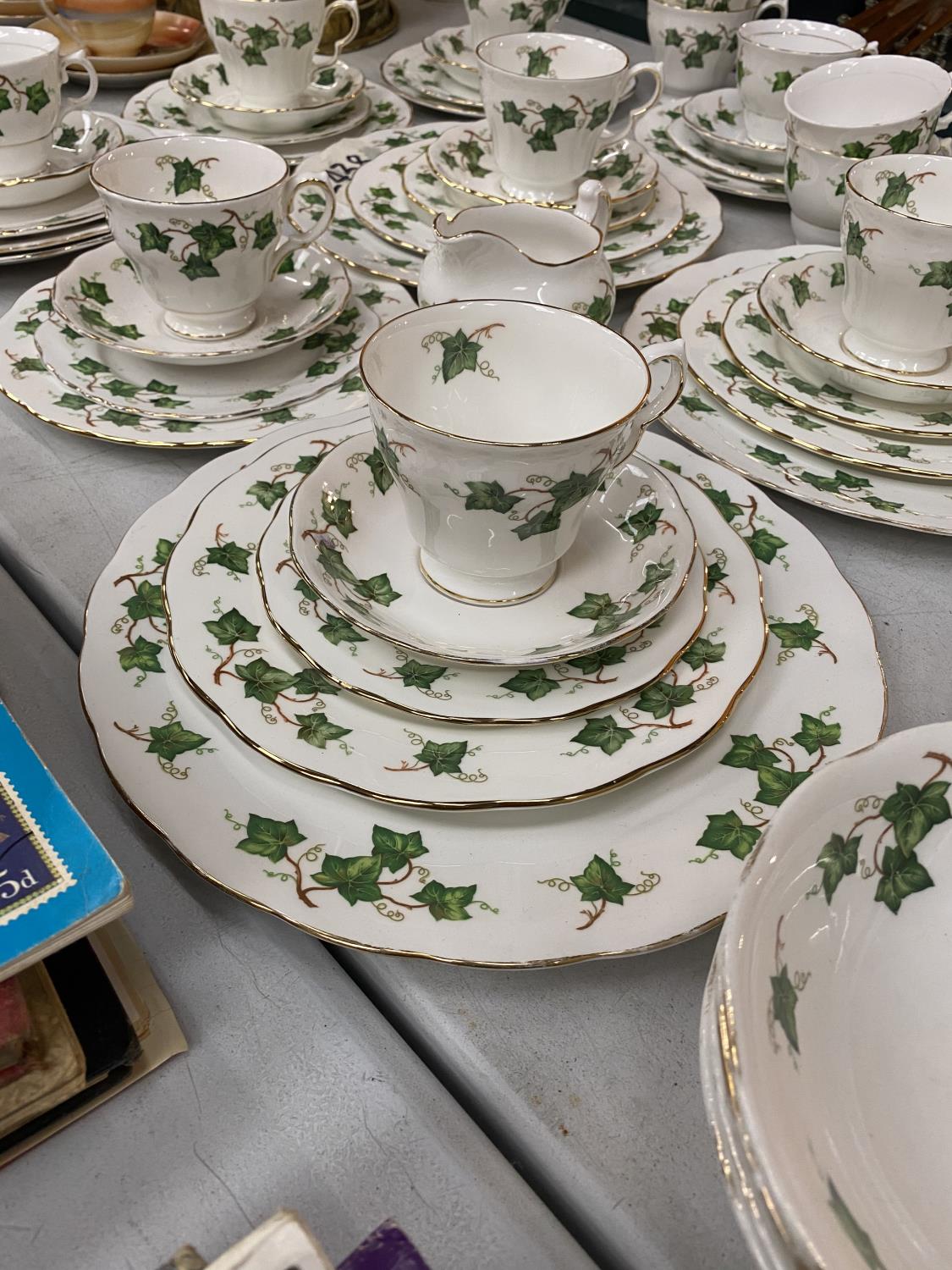 A LARGE COLLECTION OF COLCLOUGH 'IVY LEAF' BONE CHINA TO INCLUDE TEA CUPS, SAUCERS, PLATES, BOWLS, - Image 3 of 6