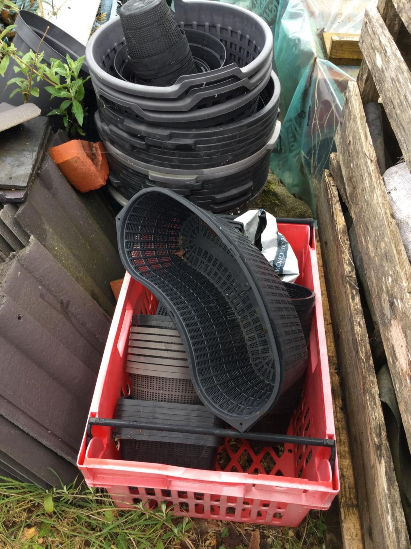 A SELECTION OF POND BASKETS (APPROX 50) NB:THESE ITEMS ARE TO BE COLLECTED FROM HEATHER BANK FARM,