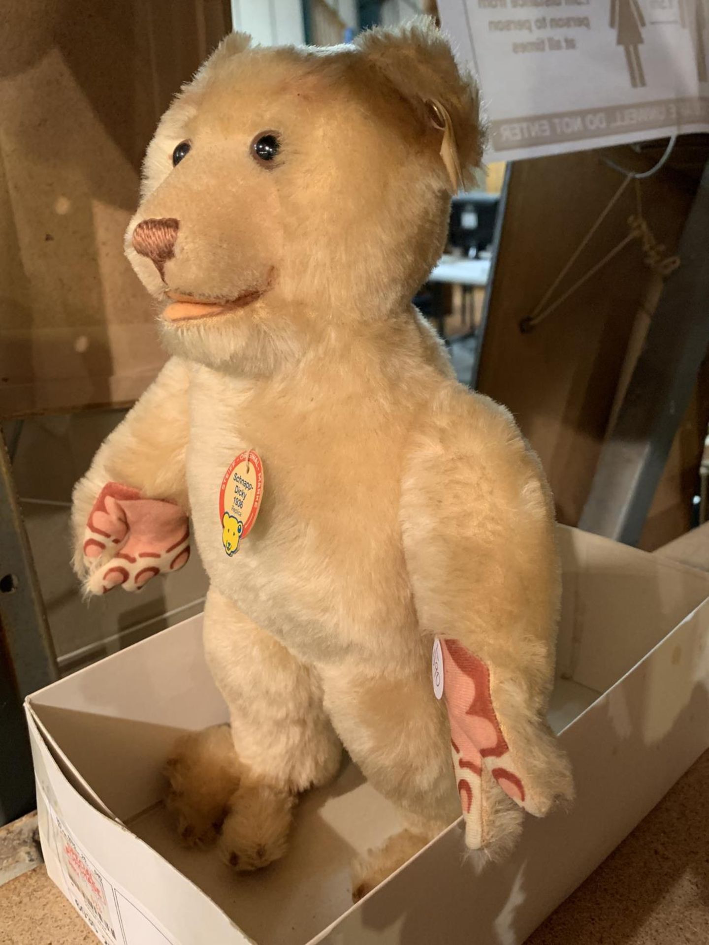 A STEIFF SCHNAPP DICKIE REPLICA TEDDY LIMITED EDITION OF 5000 WITH EAR STUD - Image 2 of 2