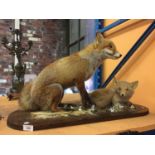 A VIXEN AND CUB ON A PLINTH