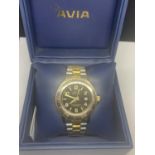 A BOXED AVIA POLAR STAR 100M WRSIT WATCH IN WORKING ORDER