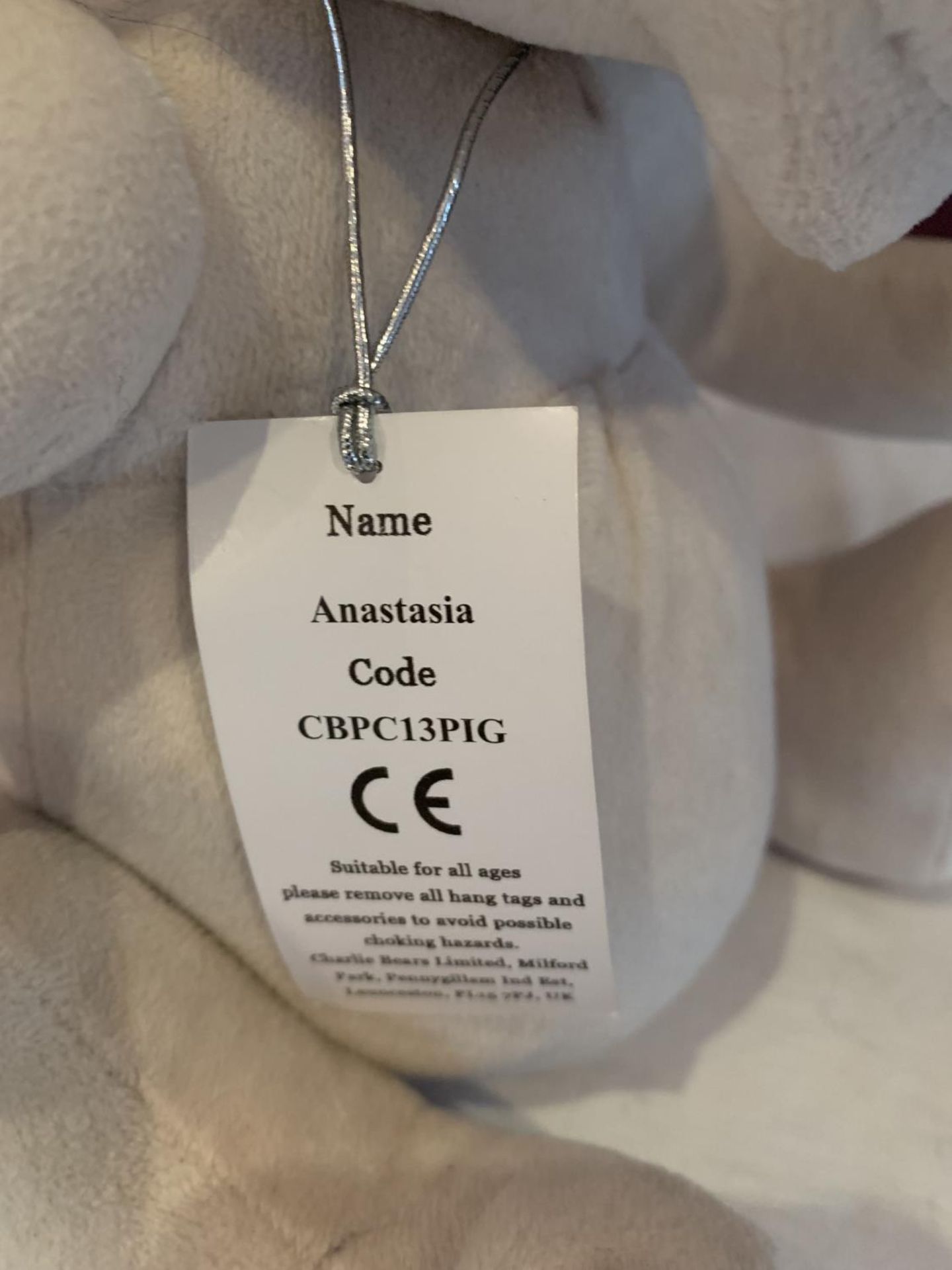 A NEW AND TAGGED CHARLIE BEARS PIG 'ANASTASIA' FROM THE BABY BOUTIQUE COLLECTION - Image 4 of 4