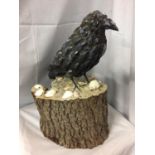 A MODEL OF A CROW BIRD DECORATED WITH MUSSEL SHELLS , SITTING ON A TREE ALSO DECORATED WITH SHELLS H