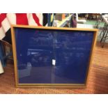 A LARGE DISPLAY CABINET WITH BLUE BAIZE AND TWO SLIDING GLASS DOORS 40" X 30"