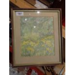 A FRAMED WATERCOLOUR OF A FIELD OF DAFFODILS BY ISOBEL BARBER