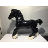 A BESWICK BLACK PRANCING SHIRE HORSE