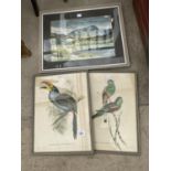 AN ASSORTMENT OF FRAMED PRINTS