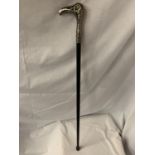 A WALKING STICK WITH A METAL EAGLES HEAD HANDLE