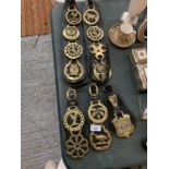 A COLLECTION OF HORSES BRASSES ON FIVE LEATHER STRAPS