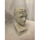 A SMALL CERAMIC PHRENOLOGY HEAD H:19.5CM L.N FOWLER