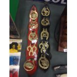 TWO STRAPS WITH FIVE VARIOUS HORSE BRASSES ON EACH
