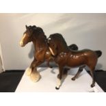 TWO BESWICK BAY HORSES TO INCLUDE A BAY PRANCING SHIRE AND A THOROUGHBRED (EAR A/F)