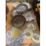 A COLLECTION OF VARIOUS COLLECTABLE PLATES