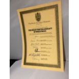 THE ROYAL AIRFORCE MUSEUM 'THE GREAT FIGHTER AIRCRAFT OF WORLD WAR II' COLLECTORS CERTIFICATE