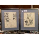 TWO FRAMED BOTANTICAL SKETCHES