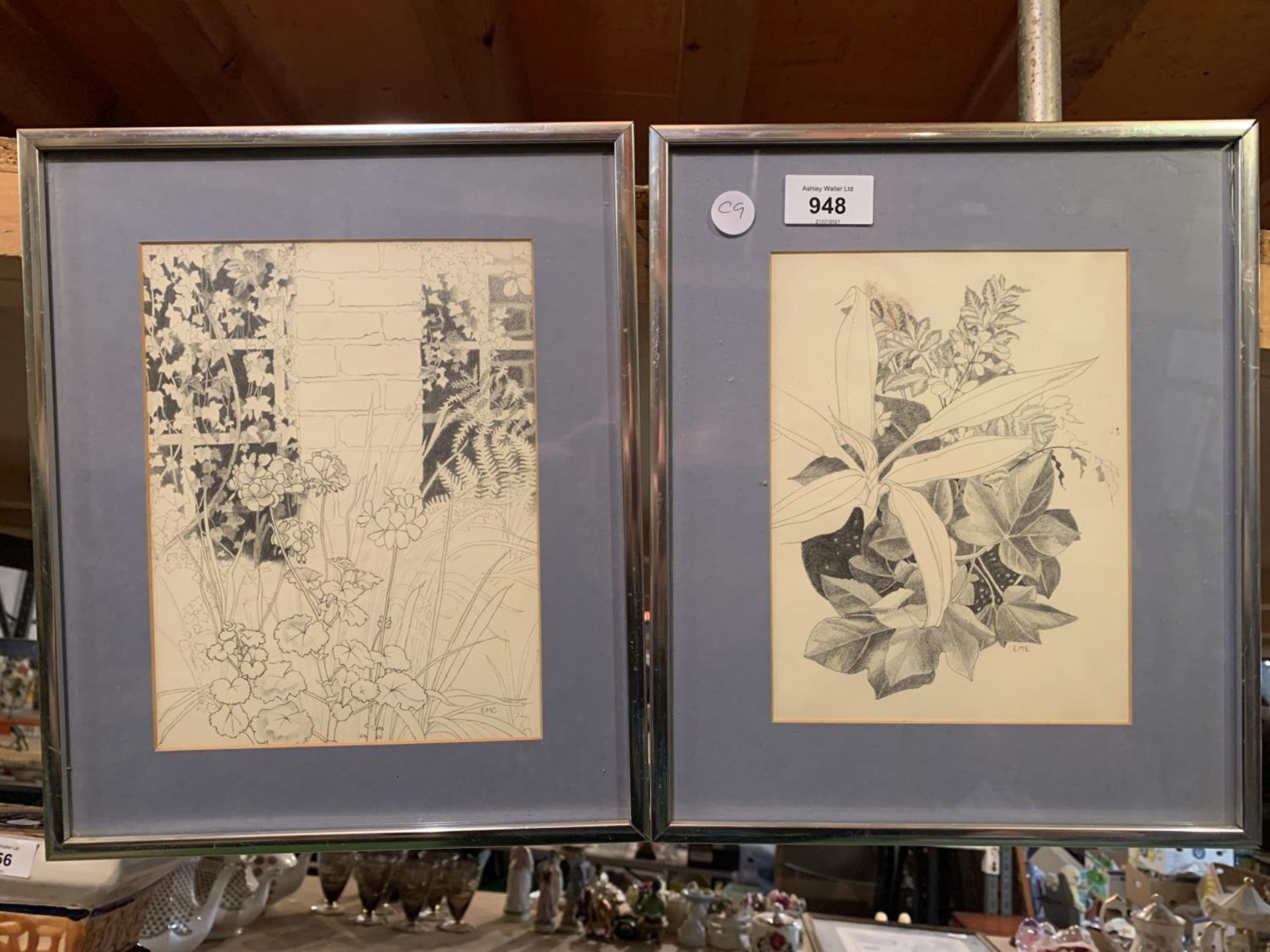 TWO FRAMED BOTANTICAL SKETCHES