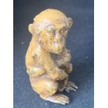 A BERGMAN STYLE COLD PAINTED BRONZE OF A MONKEY