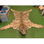 A VICTORIAN TIGER SKIN HIDE MOUNTED ON A BOARD. TAIL HAS SEPARATED OFF BUT DOES COME WITH THE PIECE