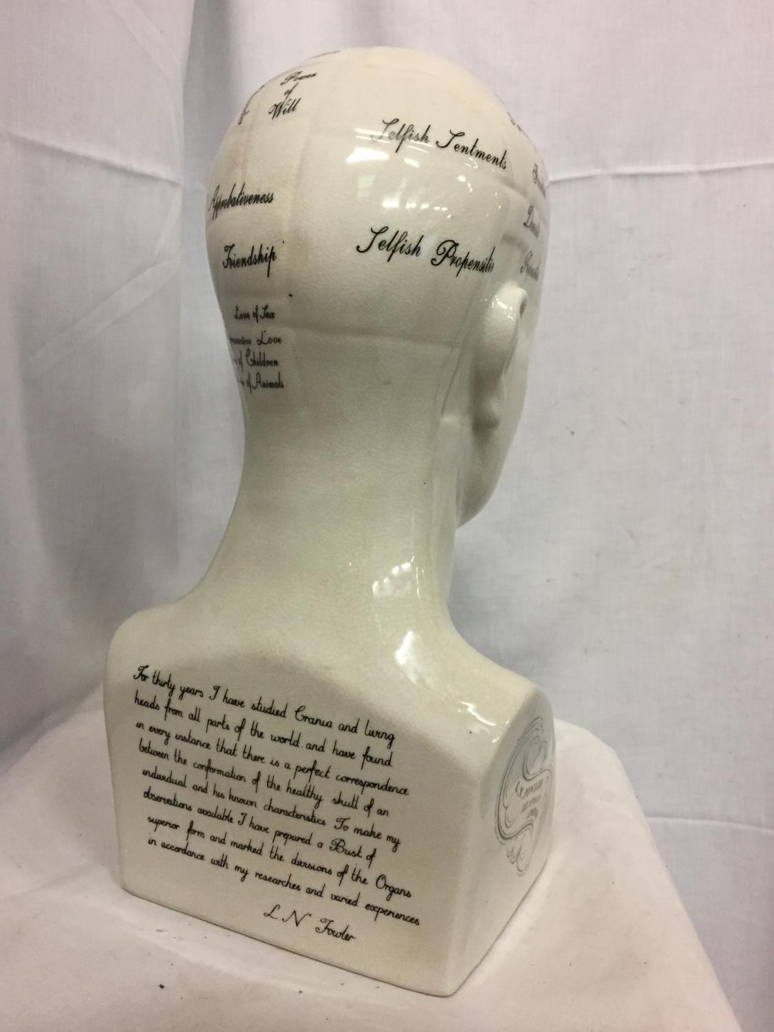 A LARGE REPRODUCTION 'PHRENOLOGY BY L N FOWLER' HEAD, H-41CM - Image 4 of 6