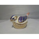 A ROYAL CROWN DERBY GOLDCREST PAPERWEIGHT