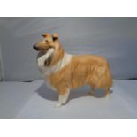 A BESWICK ROUGH COLLIE DOG CERAMIC FIGURE