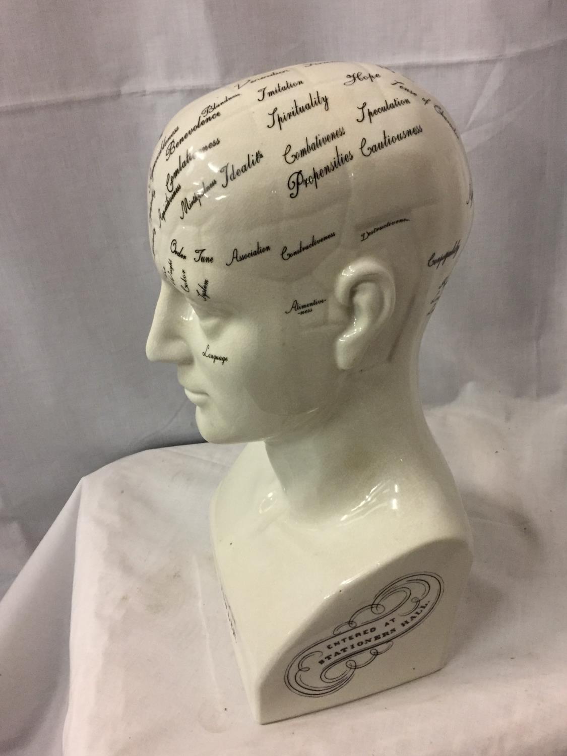 A LARGE REPRODUCTION 'PHRENOLOGY BY L N FOWLER' HEAD, H-41CM - Image 2 of 6