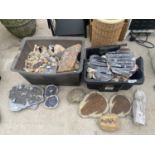 AN ASSORTMENT OF FOSSIL ITEMS AND ROCKS