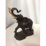 A 1991 FRANKLIN MINT CAST BRONZE "GIANT OF THE SERENGETI" ELEPHANT WITH GOLD COLOURED TUSKS