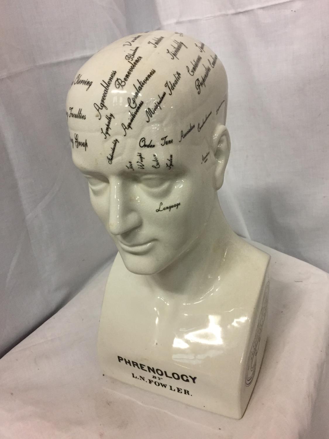 A LARGE REPRODUCTION 'PHRENOLOGY BY L N FOWLER' HEAD, H-41CM