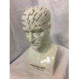 A LARGE REPRODUCTION 'PHRENOLOGY BY L N FOWLER' HEAD, H-41CM