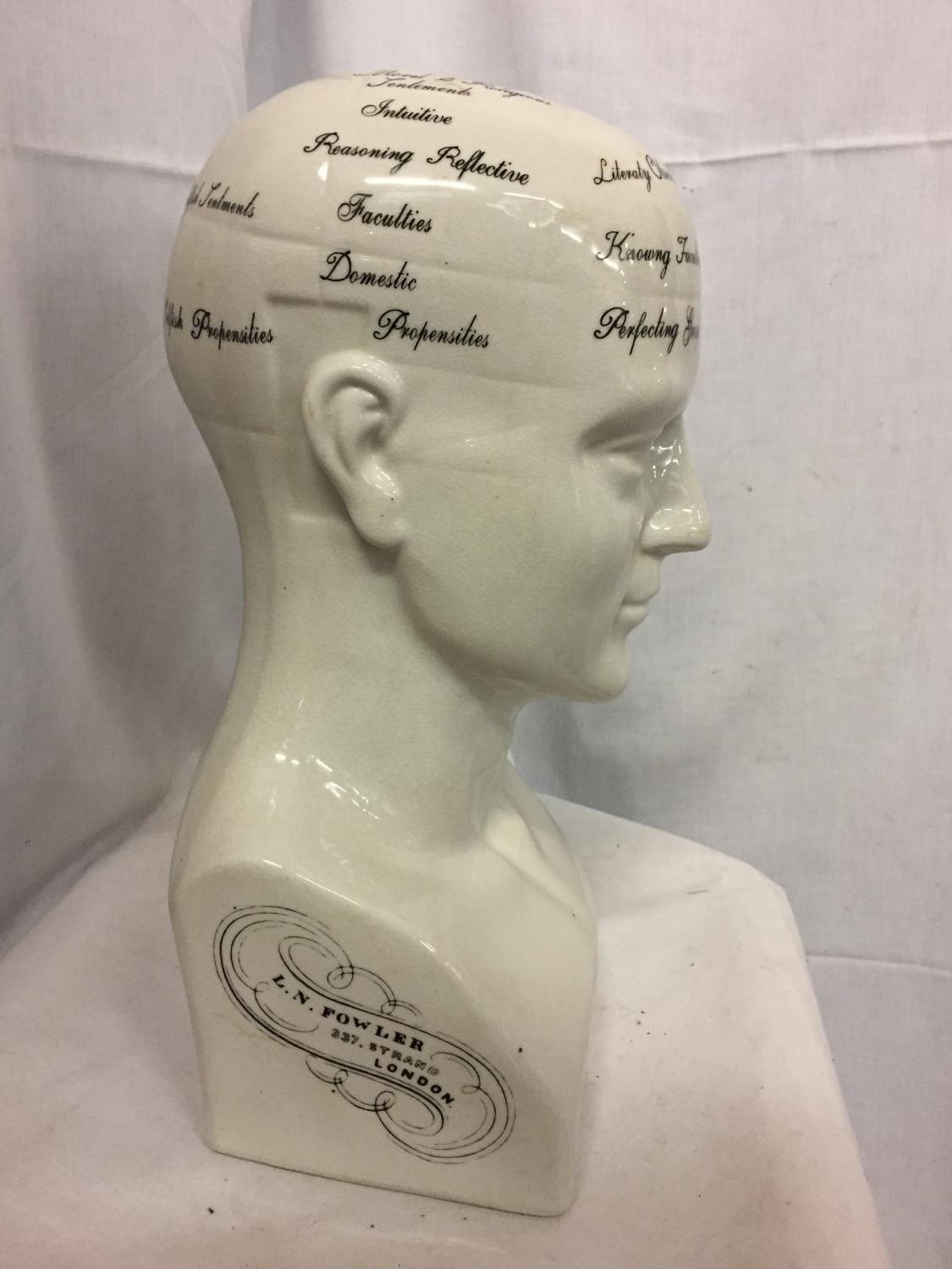 A LARGE REPRODUCTION 'PHRENOLOGY BY L N FOWLER' HEAD, H-41CM - Image 3 of 6