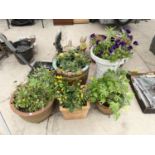 AN ASSORTMENT OF CERAMIC AND PLASTIC GARDEN PLANTERS