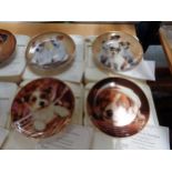 SIX BANBURY MINT COLLECTORS PLATES OF JACK RUSSELLS TO INCLUDE 'SOLE MATE' 'MORE LIKE YOU' AND '