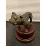 A BRONZE BULL DOG ON WOODEN PLINTH, HEIGHT 11.5CM
