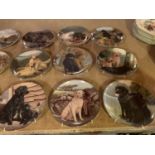A SET OF NINE 'TRUSTED COMPANIONS' LIMITED EDITION PLATES OF LABRADORS