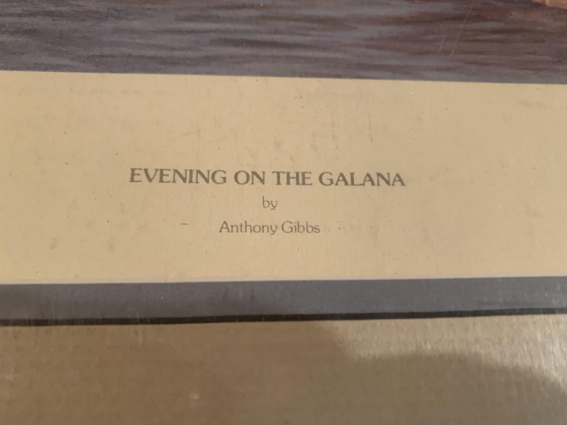 AN ANTHONY GIBBS MOUNTED PRINT 'EVENING ON THE GALANA' LIMITED EDITION 272/1000 WHOLESALE PRICE £120 - Image 2 of 4