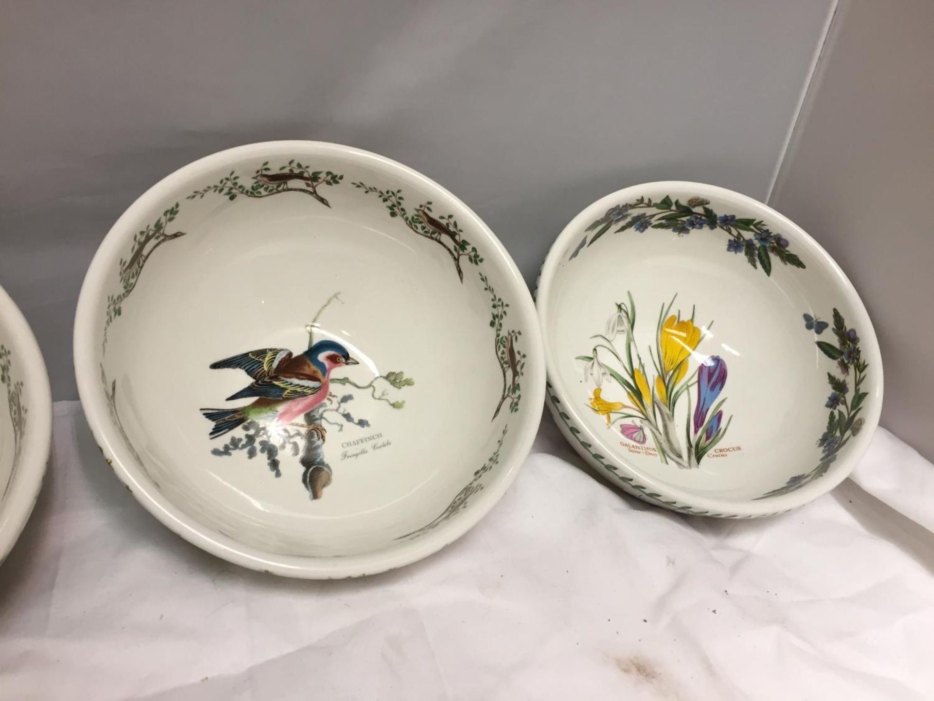 THREE LARGE PORTMERION POTTERY BOWLS {TWO BIRDS OF BRITAIN, ONE CROCUS } - Image 3 of 4