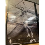 A VERY LARGE KODAK BLACK AND WHITE FRAMED 1940'S/1950'S PRINT OF A FEMALE CIRCUS PERFORMER 156CM X