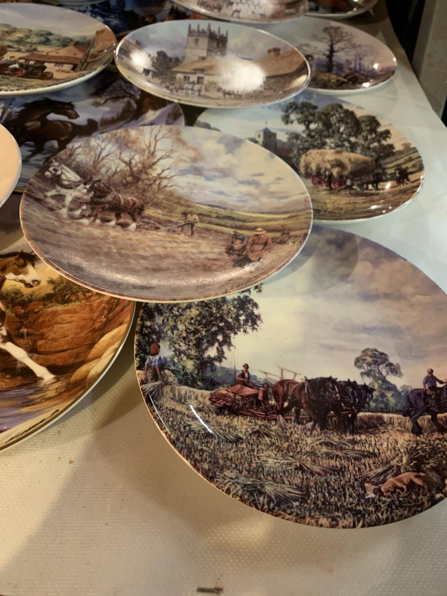 EIGHTEEN HORSE AND COUNTRY SCENE COLLECTORS PLATES - Image 5 of 5