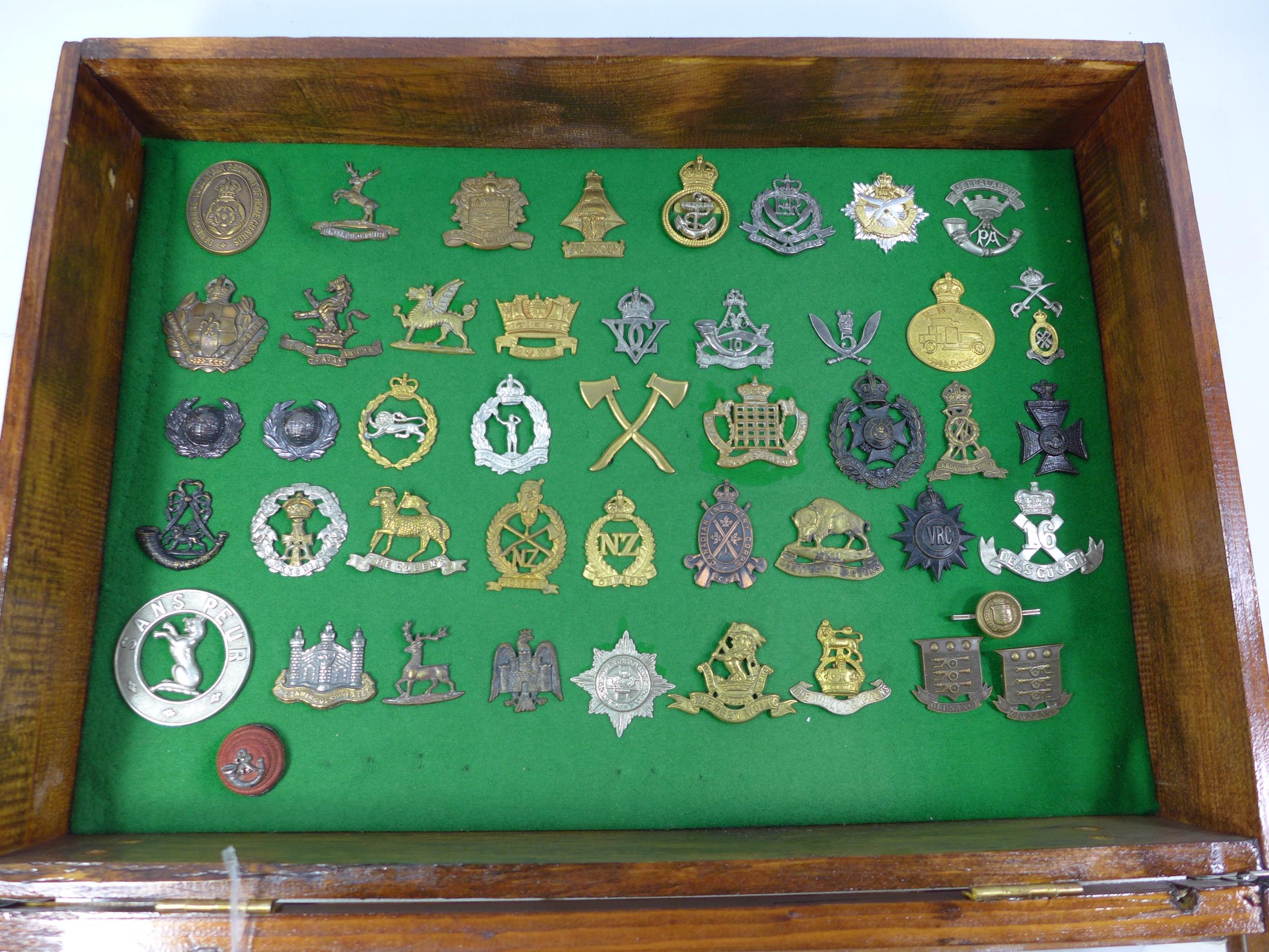 A GLAZED DISPLAY CASE CONTAINING FORTY SIX BRITISH ARMY CAP BADGES, 33CM X 48CM