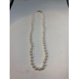 A PEARL NECKLACE WITH A 9 CARAT GOLD CLASP