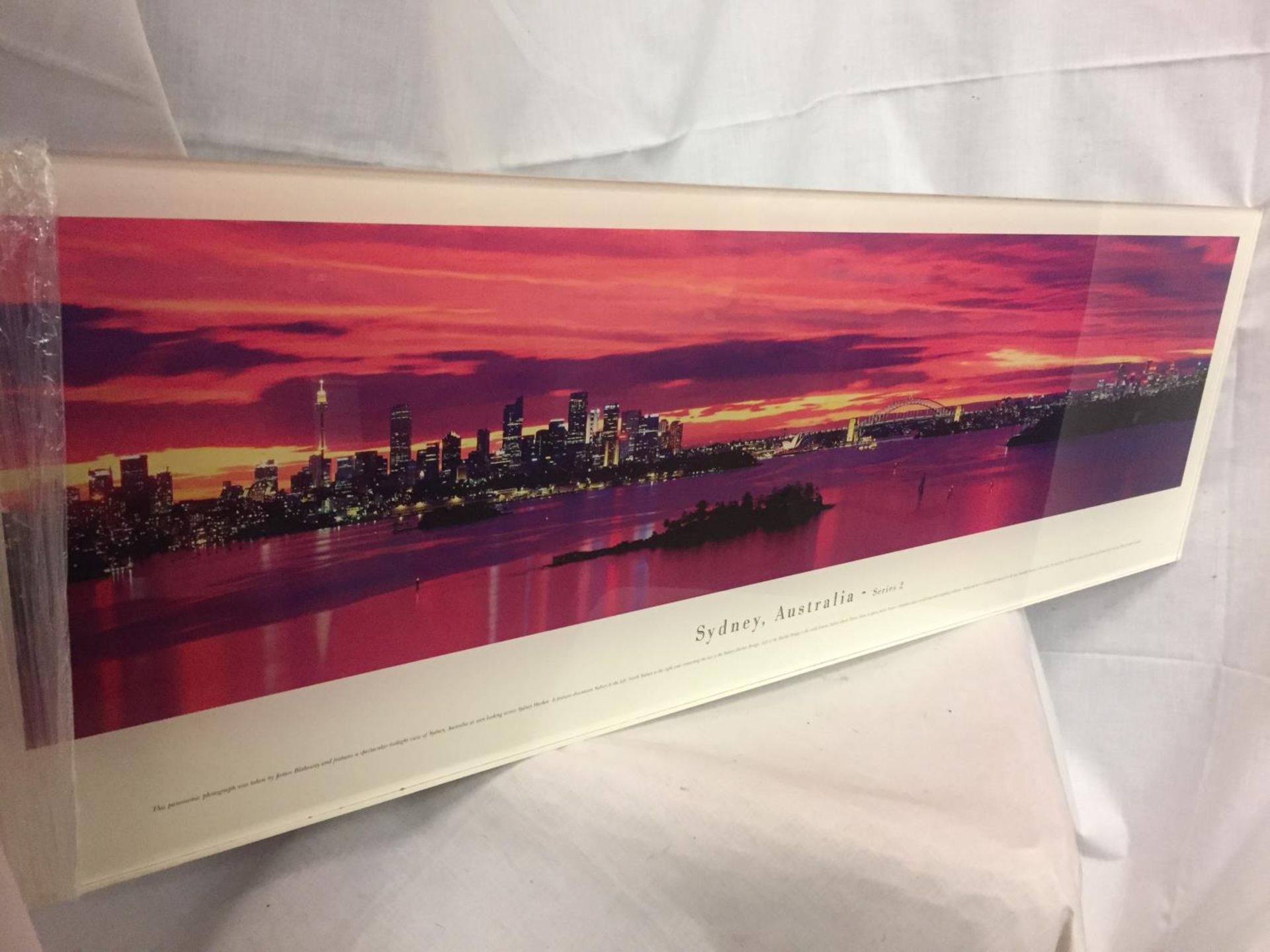 A LARGE PANORAMIC PRINT OF SYDNEY, AUSTRALIA - Image 4 of 6