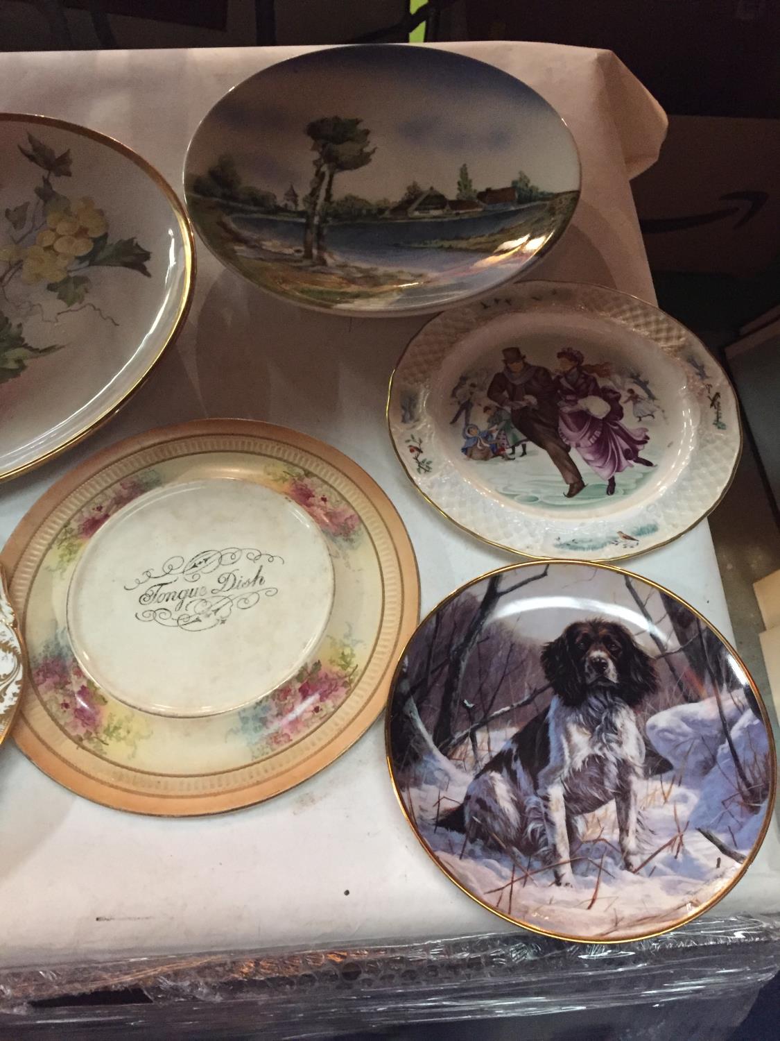 A SELECTION OF DECORATIVE PLATES - Image 5 of 6