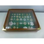 A DISPLAY CASE CONTAINING THIRTY EIGHT BRITISH STAYBRITE MILITARY BADGES, 34CM X 40CM