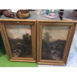 A PAIR OF OIL PAINTINGS ON BOARD OF WATERFALLS SIGNED W COLLINS