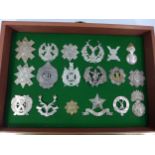 A GLAZED DISPLAY CASE CONTAINING EIGHTEEN SCOTTISH ARMY CAP BADGES, 30CM X 42CM