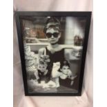 A FRAMED BLACK AND WHITE PICTURE OF AUDREY HEPBURN